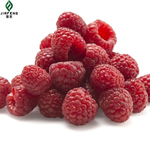 IQF đông lạnh mâm xôi số lượng lớn 100% trái cây cao cấp chất lượng xuất xứ Trung Quốc - Product Image 5