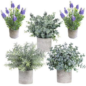 QSLH-VF270 Pack 3 <span class=keywords><strong>En</strong></span> <span class=keywords><strong>Pot</strong></span> Feuilles D'<span class=keywords><strong>eucalyptus</strong></span> Artificielles <span class=keywords><strong>Mini</strong></span> plantes <span class=keywords><strong>En</strong></span> <span class=keywords><strong>Pot</strong></span> artificielle décor - Product Image 2