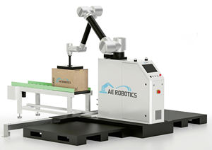 低コストの自動化されたパレット化ステーション-ユーザーフレンドリーなインターフェースを備えた共同ロボットアーム - Product Image 3