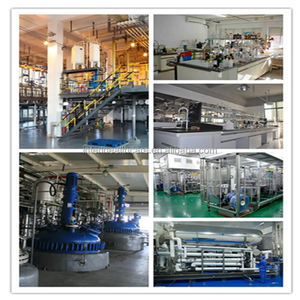 ผงอินนูลิน CAS 9005-80-5สเตียรอยอิลอินนูลินเป็นกลุ่ม - Product Image 3