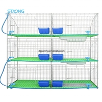 Système d'élevage commercial de lapins à 6 cages avec nichoirs, fournisseur de cages à lapins industrielles en gros