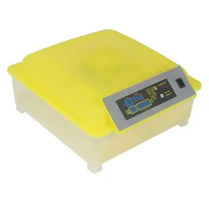 2019 top selling HHD 48 eieren mini incubator 12 v verwarming met thermostaat Ce goedgekeurd EW-48