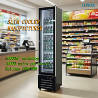 Schlanke Display-Gefriertruhe Mini-Eiscreme-Vitrine Vertikale Glastür Kommerzieller Schmaler Kühlschrank
