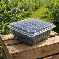 Kontainer Plastik Bening Berlubang Ramah Lingkungan dari RPET Daur Ulang Kapasitas 1000g dengan Cetak Kustom untuk Kemasan Blueberry