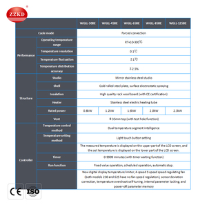 Horno de Secado por Convección Forzada con Circulación de Aire Caliente y Termostato Desecante para Laboratorio Eléctrico con Certificación CE - Precio - Product Image 6
