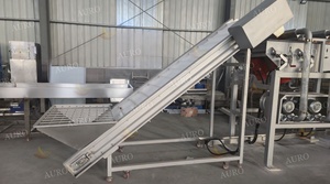 Linea di Lavorazione Industriale per Frutta, Palma, <span class=keywords><strong>Datteri</strong></span> e Verdure, Macchina Automatica per Lavaggio e Selezione con Capacità di 1 T/Ora, Motore Marca AURO - Product Image 5