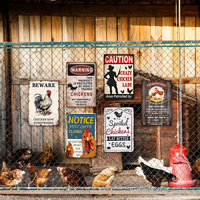 Ensemble de panneaux métalliques vintage poulet et coq, décoration murale rétro pour ferme, poulailler, cuisine et maison
