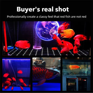 T12 Rode Arowana Lamp Glas Helderder Kleur Ip67 Duiklicht Voor 80 ~ 200Cm Aquarium Lichtbuis Waterlamp - Product Image 3