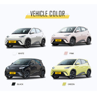 Voiture électrique FF 305 km, berline cinq portes quatre places, véhicules à énergie nouvelle Seagull 2023 pour Byd