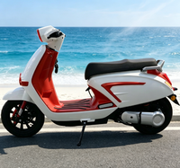 Moto de tourisme moderne YT Sportbikes à 2 roues, 1000W, 48V, moteur sans balais, vitesse maximale de 40-60 km/h