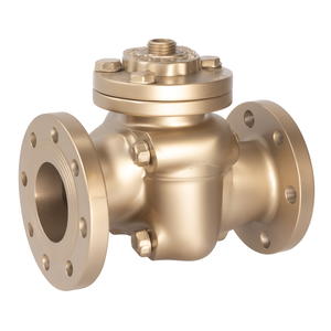 COVNA DN150 6 pouces PN16 Vanne anti-retour à flancs doubles en fonte, manuelle, pour eau - Product Image 1