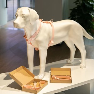 Coleira para Cães Pequenos Liangkeshu Personalizada em PVC, Estilo Colete Acolchoado Sólido, Sem Puxões, com Fitas Respiráveis, Lavável à Mão, com Guia - Product Image 6