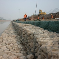 Gabion à prix réduit / Panneau de grillage soudé pour mur de soutènement / Clôture en gabion / Cage à pierres