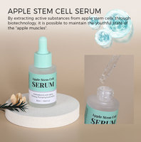 Soin de la peau apaisant à l'hamamélis virginiana et aux polypeptides, sérum anti-âge anti-rides aux cellules souches de pomme, marque privée
