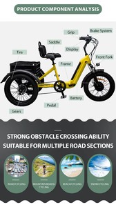 Triciclo eléctrico de rueda delantera de 750W para adultos Triciclo eléctrico plegable con cubo de motor de batería de litio - Product Image 5