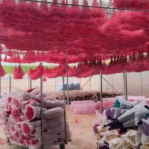 Lovebay Usine En Gros Naturel Fleurs Séchées <span class=keywords><strong>Gypsophile</strong></span> Préservé pour La Décoration De <span class=keywords><strong>Mariage</strong></span> Arrangement Préservé Babys Souffle Fleur - Product Image 5