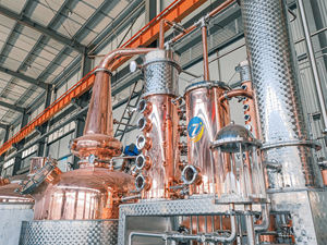 Ligne de production de whisky/<span class=keywords><strong>gin</strong></span>/brandy ZJ distillateur d'<span class=keywords><strong>alcool</strong></span> distillateur de cuivre distillateur de moonshine distillateur d'<span class=keywords><strong>alcool</strong></span> encore - Product Image 6