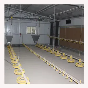 Automatic Plastic Floor Breedering Feed Line Raising System Poultry Equipment For Broiler Farm