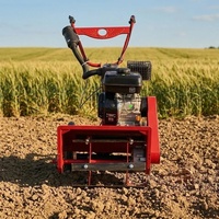 Micro-cultivateur agricole haute performance, idéal pour le travail du sol, adapté à divers types de sols, lames durables, poignée confortable.