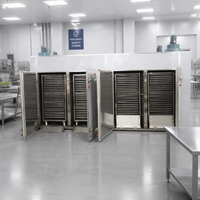Hoog rendement fruit- en groente vacuümdroogmachines industriële vacuümtraydroger vacuümoven hetelucht droogoven machine