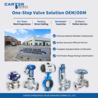 Vanne papillon à double excentrique Carter en fonte ductile, acier au carbone, acier inoxydable, manuelle, à engrenage à vis sans fin, pneumatique, électrique