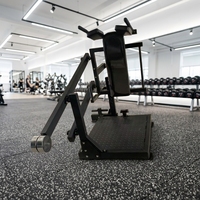 Machine à Squat Pendulaire en Acier à Charge de Plaques 2026 pour Gym et Fitness, Exercices Poitrine et Dos, Usage Commercial, Capacité 2t pour le Renforcement Musculaire