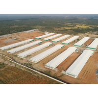 Poulailler à structure en acier robuste ventilé spacieux pour l'élevage commercial de volailles élevage de poulets haute ventilation