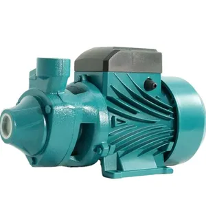 Llaspa elettrica centrifuga periferica pompa acqua trasparente 0,5 hp Qb60 pompaggio giardino casa piscina acqua aspersione