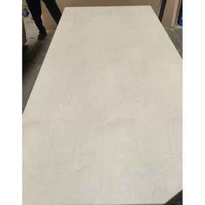 BB Grade <span class=keywords><strong>pas</strong></span> <span class=keywords><strong>cher</strong></span> 4x8 3mm <span class=keywords><strong>5mm</strong></span> 15mm 18mm feuille laminée UV <span class=keywords><strong>contreplaqué</strong></span> de bouleau baltique <span class=keywords><strong>Marine</strong></span> en gros avec des prix compétitifs - Product Image 6