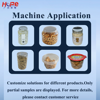 Machine de remplissage de granulés à 10 têtes avec peseuse linéaire Z, scelleuse et étiqueteuse automatique, boîtier en acier inoxydable de qualité alimentaire