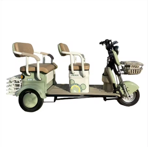 Motocyclette électrique à trois <span class=keywords><strong>roues</strong></span> à carrosserie ouverte personnalisée en gros 800W moteur batterie au plomb-acide homologuée pour l'exportation - Product Image 2