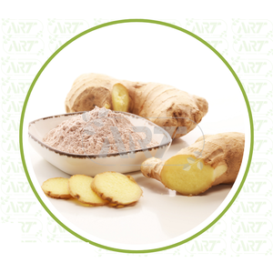 Poudre de gingembre moulu de haute qualité pour des utilisations culinaires, y compris les mélanges d'épices, les mélanges d'assaisonnement et les recettes traditionnelles - Product Image 3