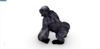 Ballon publicitaire gonflable personnalisé Gorille King Kong pour la décoration d'événements en plein air, animal gonflable géant promotionnel