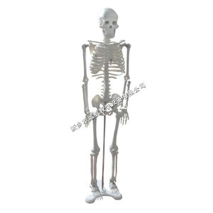 180cm - Product Image 3