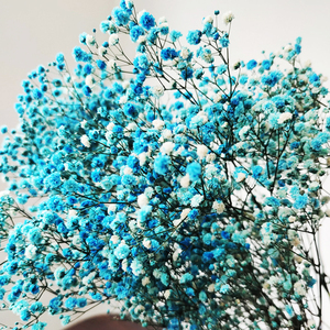 Vela de flores secas Yunnan, decoración de flores secas reales, venta al por mayor, decoraciones de boda para interiores, <span class=keywords><strong>buquet</strong></span> de flores secas degradables - Product Image 1