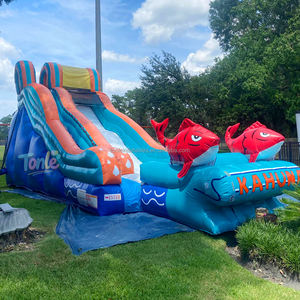 Tobogán Inflable de Grado Comercial, Parque Infantil al Aire Libre para Niños, Grandes Toboganes de Agua, Castillos Inflables, Tobogán Acuático - Product Image 5