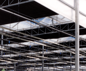 Skyplant เรือนกระจกโพลีอุโมงค์เพื่อการเกษตรขนาดใหญ่แบบอัตโนมัติเชิงพาณิชย์เรือนกระจกที่ทำจากวัสดุ PE - Product Image 6