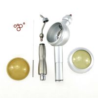 Pièce à main de polissage dentaire à jet d'air certifiée CE, argent/blanc, Classe I, compatible avec les accouplements B2/M4 Bien Siro
