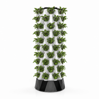 Tour d'ananas hydroponique verticale à 10 niveaux avec pompe submersible pour laitues, herbes et fraises