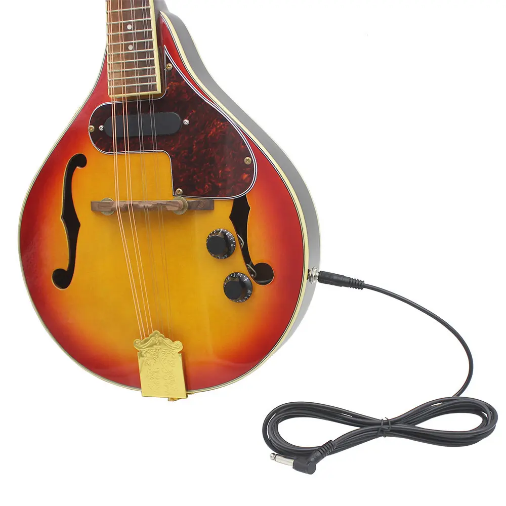 IRIN 8-String Electric Mandolin Set for Beginners - Acoustic