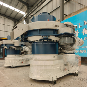 Machine à granulés professionnelle à anneau de matrice, presse à granulés de bois, matériaux biomasse mixtes - Product Image 4