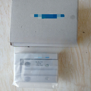 SLS-10-5-<span class=keywords><strong>P</strong></span>-A 170491 シリンダー SLS105PA - Product Image 1