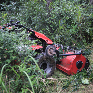 Tractor Agrícola Mini de Dos Ruedas con Tecnología <span class=keywords><strong>BCS</strong></span> Italiana, Maquinaria Agrícola con Accesorio Desbrozadora, Cortacésped, Aprobado por CE - Product Image 3