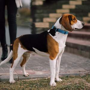 Eoprene-producto añadido y resistente a caídas - Product Image 5