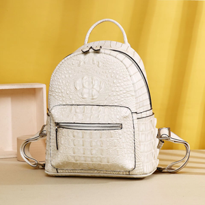 Bolsos de Diseñador de Marcas Famosas para Mujer, Nuevo Diseño con Relieve de Cocodrilo, Grande, Impermeable, Cierre de Cremallera, Silicona - Product Image 1