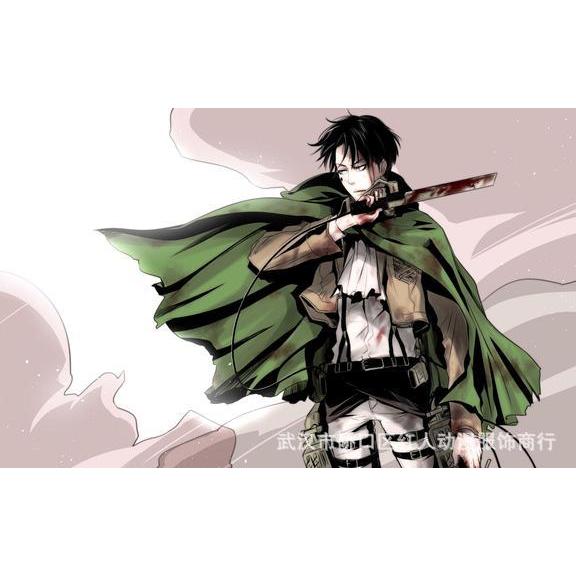 Ensemble complet Capitaine Levi