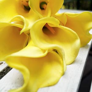 Longue tige de fleur artificielle Calla Lily avec toucher EVA pour la décoration de la maison, de la table à manger, des mariages, des auditoriums et comme accessoire photo - Product Image 3