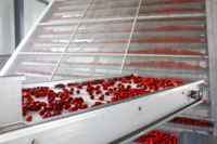 Séchoir à fruits automatique de haute qualité déshydrateur Machine de séchage de traitement des aliments avec moteur PLC à engrenages et moteur pour le séchage des pruneaux