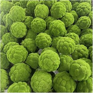 Tapis de gazon artificiel, toile de fond aspect naturel, mur végétal artificiel, mousse, <span class=keywords><strong>plante</strong></span> artificielle, toucher réel, cadeau, tapis décoratif en gazon artificiel - Product Image 4