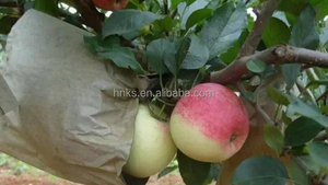 Industrie verger fruits protéger <span class=keywords><strong>sac</strong></span> faisant la machine pour orange pomme raisin pêche poire mangue kaki protection <span class=keywords><strong>sac</strong></span> faire machine - Product Image 6